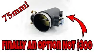 Unboxing the DeepMotor 75mm Plenum TB unit! | SN95 Mustang | #mustang #sn95