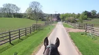 Training my 6-year old horse | OT Vlog