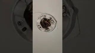 Gammel rosette/lampeudtag p&aring; loft #eleftersyn #elrapport