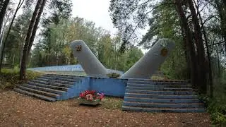 Лес Грибы Красные  Forest Mushrooms Leccinum aurantiacum  2023 10 09