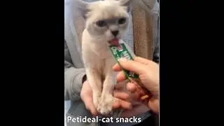 Petideal-cat liquid snacks