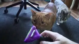 Furminator - Perie de par pentru pisici si caini