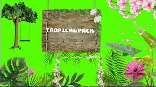 Tropical frame green screen pack, moving leaf green screen , only for subscribers use