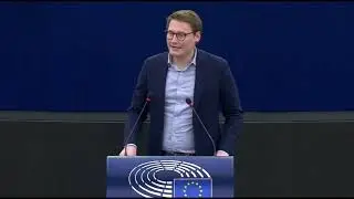 Moritz K&ouml;rner 19 January 2022 plenary speech on Digital Services Act
