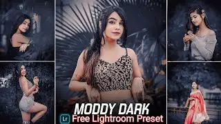 Moddy Dark Tone Lightroom Presets Free Download