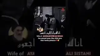Wife of Ayatollah syed ali sistani has passed away😭 #shorts #trending #sistani #explore #viralvideo