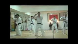 五大名鶴(一): 縱鶴拳-(八角穿心&應用) Shaking crane-(Heart penetrating octagon)