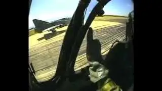 Cheetah Flying