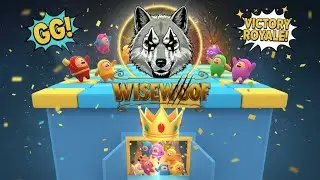 chill gamer playing fall guys & sonic rumble