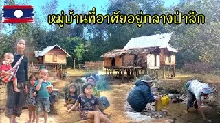 ตามหาหมู่บ้านกลางป่า8หลังคาเรือนที่อาศัยอยู่ตามป่าตามภูเขา |จ่อยชนบทลาว