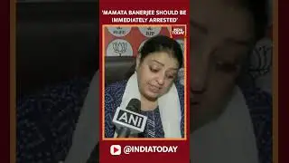 Panchayat Election: Bengal BJP's Priyanka Tibrewal Demands CM Mamata Banerjee Should Be Arrested