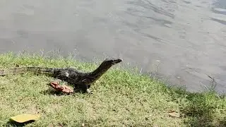 I Followed Ancestral Guidance to a Bangkok Park&mdash;What Happened Next Was Unbelievable 