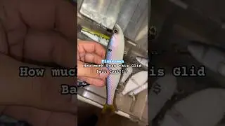 How Much Is This GLIDE BAIT!!! #glidebait #fishing #bassfishing bass #fish #shorts