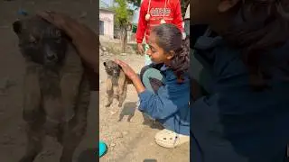 This puppy is very hungry#shorts