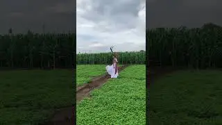 Get Your Dream Video Outputs Through Love Tales Studio | Best Photographers In Vijayawada 9951799508
