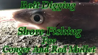 Bait Digging And Shore Fishing At Harbour
