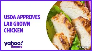 USDA approves lab grown chicken: Upside Foods explains what it is, where is comes from, and cost