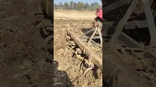 Mahindra yuvo tech plus 475  4wd parfhomannce video farming time #shorts