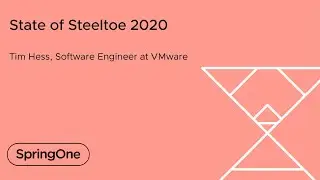 State of Steeltoe 2020