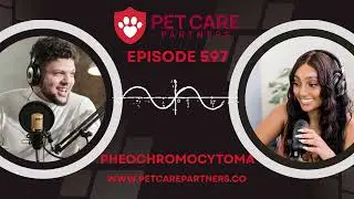 Pheochromocytoma in Pets: Diagnosis, Clinical Signs, and Treatment | Pet Care Partners Podcast Ep. 5