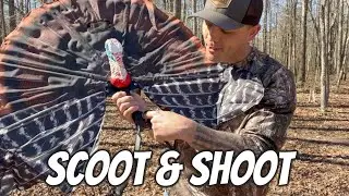 Mojo Scoot & Shoot Gunner! [Обзор]