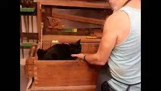 The Secret Underground Laboratory Christmas Special featuring Ruidomo, the Official Shop Cat