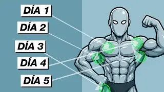 ¡Cómo EMPEZAR en a ENTRENAR y VENCER a la PROCASTINACIÓN en 2026!