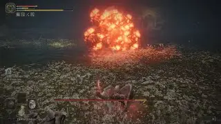 Malenia solo Ng - hitless - One-Eyed Shield (special guests: 7 Waterfowl Dances)