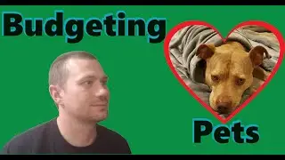 Budgeting Pets - How much do they cost? But they are so worth it!