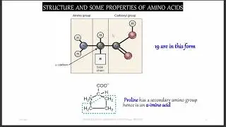 PROTEINS ||BIOCHEMISTRY 