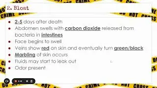 Forensic Science Death and Decay Notes