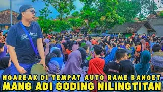 Ngareak Di Tempat Auto Rame Banget 💥 Mang Adi Goding Nilingtitan || Seni Reak Mekar Laksana Group ‼️