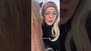 Instagram: Chaospony 📍 #shortsvideo #horse #equestrianjourney #shortsfeed