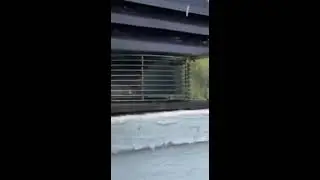 Chimney Fan Flue Gemi - GemiMarket UK video Reviews by Leif K. | TrustVideos 5/5