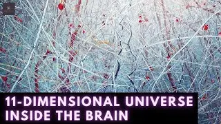 Concussion Discovery - A Multi-Dimensional Universe (11 Dimensions) Inside The Human Brain