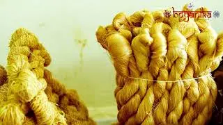 Tussar weaving process