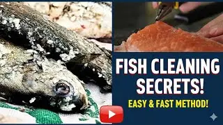 The Most Satisfying Fish Cutting ASMR
