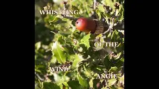 ANGIE - Whistling Of The Wind