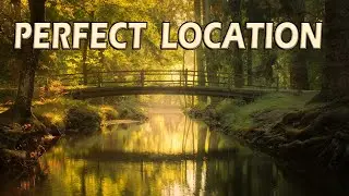 THE PERFECT LOCATION | The New Forest | Landscape Photography