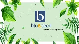 Blueseed Promo