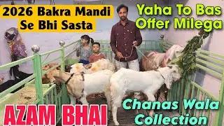 2026 Bakra Mandi Se Bhi Sasta Milega At AZAM BHAI | Wholesale Goat Market In Bhiwandi 