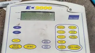 Keeping Another Tru-Test Livestock Weigh Scale From Being Trashed | Cattle Scale Repair