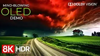 Mind-Blowing Nature in HDR Dolby Vision 8K 120fps