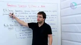 Hormônios vegetais: etileno e ABA