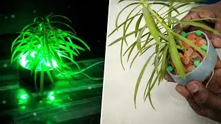 how to make an Decoration Light kaise banaye || DIY Beautiful Night LED Lamp with Tree ✅
