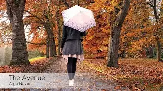 Argo Navis - The Avenue