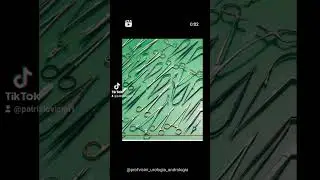 Protesi Peniena-Corporoplastica-Pene Curvo-Varicocele-Vagjnoplastica-Falloplastica-Uretroplastica