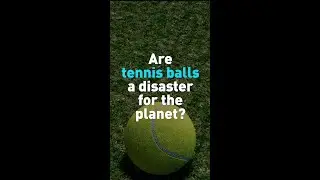 Are tennis balls a disaster for the planet?