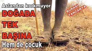 ASLANLARLA AYNI ALANDA YAŞIYORLAR