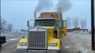 Cold frosty morning hauling corn and straw